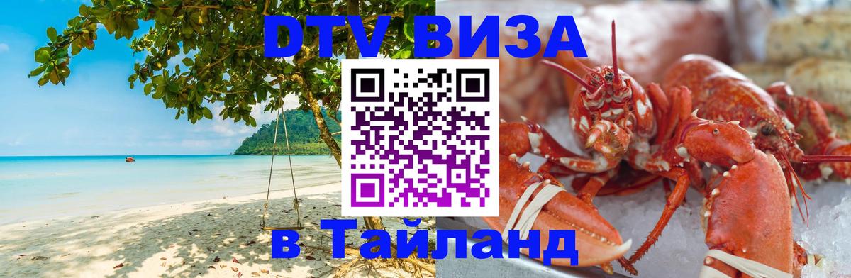 Оформление DTV визы под ключ: стоимость и тарифы, только загранпаспорт - Прага  21.11.2025 